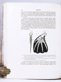 Anatomical and Zoological Researches: Comprising an account of the zoological results of the two expeditions to western Yunnan in 1868 and 1875