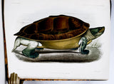 Anatomical and Zoological Researches: Comprising an account of the zoological results of the two expeditions to western Yunnan in 1868 and 1875