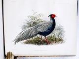 Anatomical and Zoological Researches: Comprising an account of the zoological results of the two expeditions to western Yunnan in 1868 and 1875