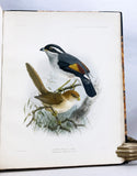 Anatomical and Zoological Researches: Comprising an account of the zoological results of the two expeditions to western Yunnan in 1868 and 1875