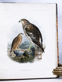 Anatomical and Zoological Researches: Comprising an account of the zoological results of the two expeditions to western Yunnan in 1868 and 1875