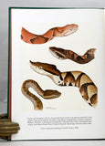 Snakes of the Agkistrodon Complex: A Monographic Review
