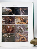 Snakes of the Agkistrodon Complex: A Monographic Review