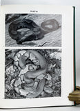 Snakes of the Agkistrodon Complex: A Monographic Review