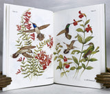 The Hummingbirds of North America (second edition)