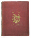 British Moths and their Transformations, 2 volumes
