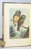 Illustrations of the Birds of California, Texas, Oregon, British and Russian America