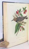 Illustrations of the Birds of California, Texas, Oregon, British and Russian America