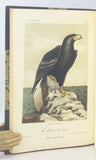 Illustrations of the Birds of California, Texas, Oregon, British and Russian America