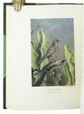 Birds of Arabia