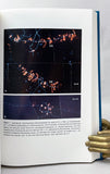 Amphibian Cytogenetics and Evolution