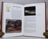 Amphibians & Reptiles Native to Minnesota
