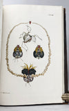 Historia naturalis Ranarum nostratium / Die naturliche Historie der Froesche hiesigen Landes