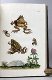 Historia naturalis Ranarum nostratium / Die naturliche Historie der Froesche hiesigen Landes