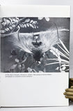 Birds of Paradise and Bower Birds