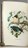A Monograph of the Pittidae, or Family of Ant Thrushes (first edition)