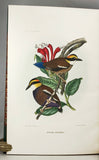 A Monograph of the Pittidae, or Family of Ant Thrushes (first edition)