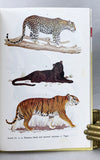 Mammals of Malaysia