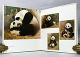 The Giant Panda