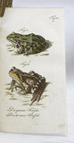 Herrn de la Cepede's Naturgeschichte der Amphibien, oder der enerlegenden vierfussigen Thiere und der Schlangen: Eine Fortsetzung von Buffon's Naturgeschichte, in five volumes with hand-colored plates