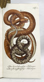 Herrn de la Cepede's Naturgeschichte der Amphibien, oder der enerlegenden vierfussigen Thiere und der Schlangen: Eine Fortsetzung von Buffon's Naturgeschichte, in five volumes with hand-colored plates