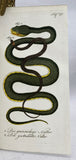 Herrn de la Cepede's Naturgeschichte der Amphibien, oder der enerlegenden vierfussigen Thiere und der Schlangen: Eine Fortsetzung von Buffon's Naturgeschichte, in five volumes with hand-colored plates