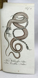 Herrn de la Cepede's Naturgeschichte der Amphibien, oder der enerlegenden vierfussigen Thiere und der Schlangen: Eine Fortsetzung von Buffon's Naturgeschichte, in five volumes with hand-colored plates