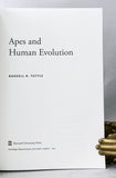 Apes and Human Evolution