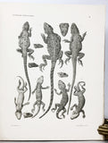 Wissenschaftliche Resultate der von N.M. Przewalski nach Central-Asien unternommenen Reisen Zoologischer Teil. Band III, Abtheilung 1: Amphibien und Reptilien. Lieferung 1 to 4, complete in four parts