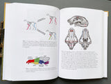 Carnivoran Evolution: New Views on Phylogeny, Form and Function