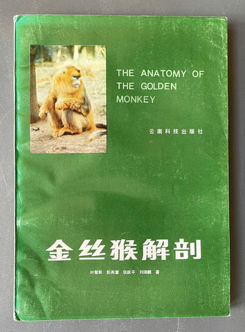 The Anatomy of the Golden Monkey (Rhinopithecus)