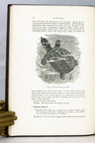 Vertebrate Fauna of the Malay Peninsula from the Isthmus of Kra to Singapore Including the Adjacent Islands: Reptilia and Batrachia