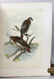 The Birds of North America, drawn and colored from nature