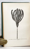 The Voyage of the Challenger. The Atlantic. A preliminary account of the general results of the Exploring Voyage of H.M.S. Challenger during the year 1873 and the early part of the year 1876, two volumes