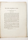 The Fossil Giraffidae of India