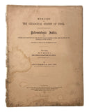 The Fossil Giraffidae of India