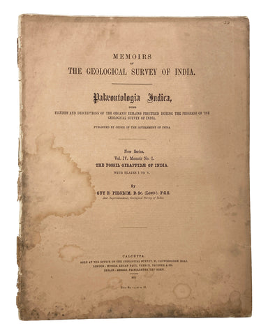 The Fossil Giraffidae of India