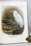 Buller’s Birds of New Zealand: A History of the Birds of New Zealand by Sir Walter Lawry Butler