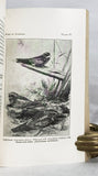 Birds of Alabama