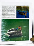 Natural History of the Waterfowl