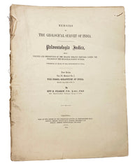 The Fossil Giraffidae of India