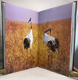 Red-crowned crane: Wang Keju’s photography works, Art Collection Jumbo Edition limited to 15 numbered copies signed by Wang Keju