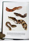 Snakes of the Agkistrodon Complex: A Monographic Review