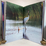 Red-crowned crane: Wang Keju’s photography works, Art Collection Jumbo Edition limited to 15 numbered copies signed by Wang Keju