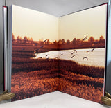 Red-crowned crane: Wang Keju’s photography works, Art Collection Jumbo Edition limited to 15 numbered copies signed by Wang Keju