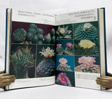 A Color Photo Album of Cacti and Succulents, in 3 volumes, complete