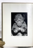 A Handbook of Living Primates: Morphology, Ecology, and Behavior of Nonhuman Primates