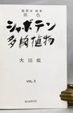 A Color Photo Album of Cacti and Succulents, in 3 volumes, complete