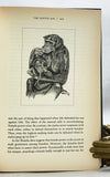 Demonic Males: Apes and the Origins of Human Violence