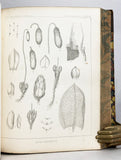 Report of Explorations and Surveys, to ascertain the most practical and economical route for a railroad from the Mississippi River to the Pacific Ocean made in 1853-4, Volume IV: Report on the Botany of the Expedition